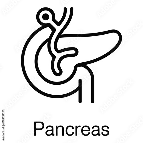 Pancreas organ line art vector illustration for medical and educational purposes anatomy diagram design silhouette
