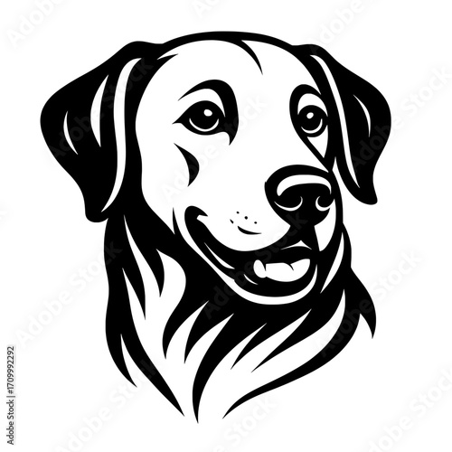 portrait of a labrador retriever
