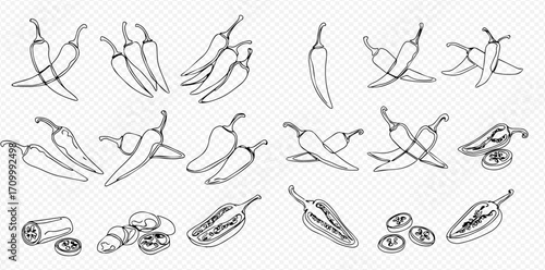 A collection of hand-drawn outline illustrations featuring various chili peppers, including whole, sliced, and halved peppers with visible seeds, arranged in...