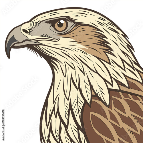 realistic bird vector