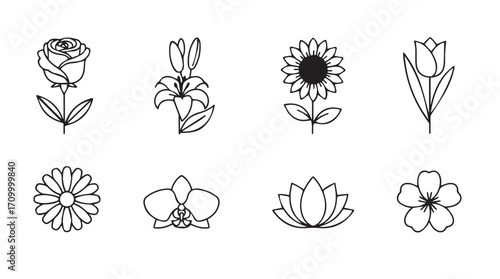 Collection of hand drawn line art flower icons perfect for decorative floral designs silhouette