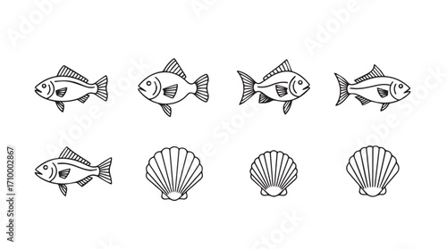 Set of realistic hand drawn fish and seashells for marine life collection silhouette