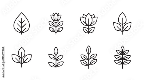 Set of delicate line art botanical icons featuring leaves and flowers for natural design silhouette