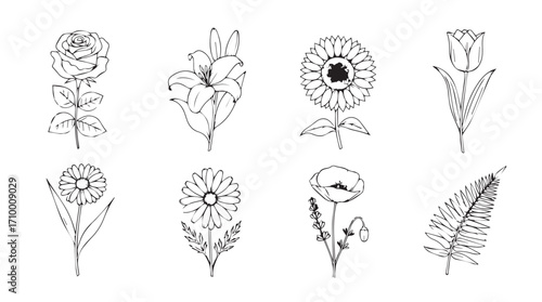 Collection of delicate hand-drawn botanical flower line art designs for artistic projects silhouette