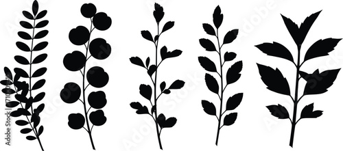 Diverse botanical silhouettes showcasing elegant natural forms on a clean background