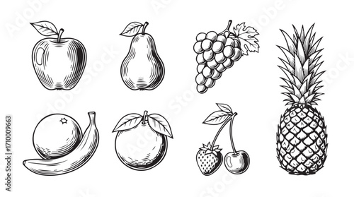 Hand drawn sketch collection of fresh fruits apple pear grapes banana orange pineapple cherries silhouette