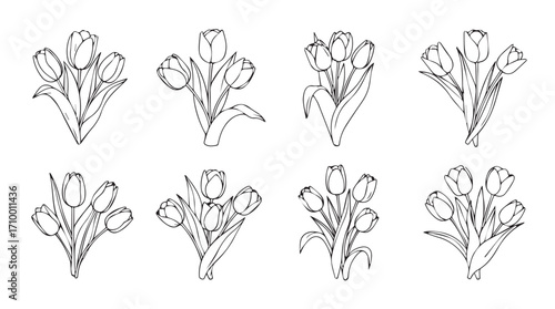 Set of eight delicate hand drawn tulip bouquets perfect for spring celebrations silhouette