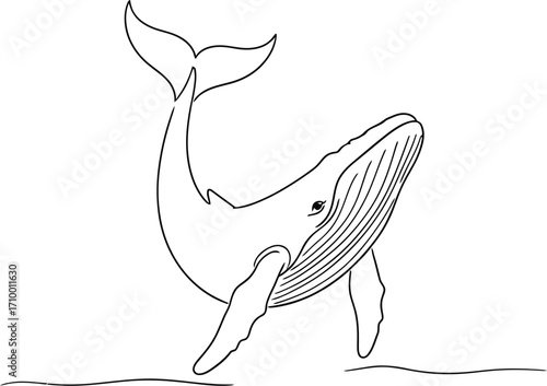 Graceful humpback whale breaching from the ocean, depicted in a simple line art style.