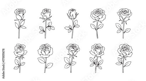 Collection of hand drawn rose flowers with stems and leaves sketch line art silhouette