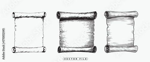 Hand drawn illustration of three vintage parchment scroll designs on white