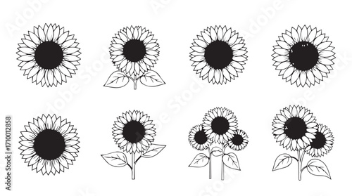 Collection of hand-drawn sunflower line art elements for botanical and floral designs silhouette