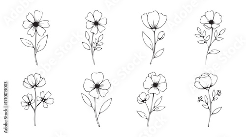 Botanical sketch collection delicate floral sprigs ideal for elegant design projects silhouette