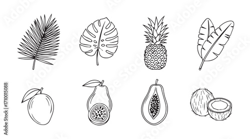 Tropical fruit and leaf collection hand drawn sketches for natural organic design elements silhouette