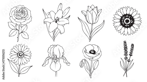 Hand drawn floral elements collection featuring roses tulips sunflowers irises and lavender sprigs silhouette