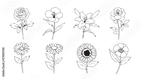 Collection of delicate botanical line drawings of various blooming flowers in detailed pencil style silhouette