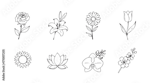 Elegant hand drawn flower arrangements decorative elements for design projects silhouette