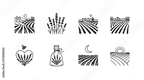 Set of hand drawn lavender field scenes and elements agricultural landscapes serene beauty silhouette
