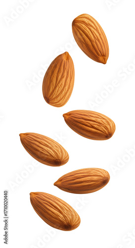 Wallpaper Mural Almonds PNG. Raw and fresh almonds falling down isolated. Almonds scattered png. Organic almond for diet and wellness visuals isolated Torontodigital.ca