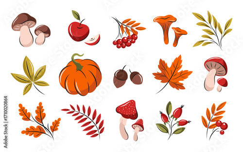 Set of autumn leaves, mushrooms and berries. Autumn hand-drawn elements for decor. Maple, oak, rowan, pumpkin, acorn. Vector illustration.