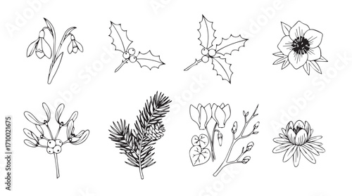 Hand-drawn botanical elements and floral sketches perfect for decorative design projects silhouette
