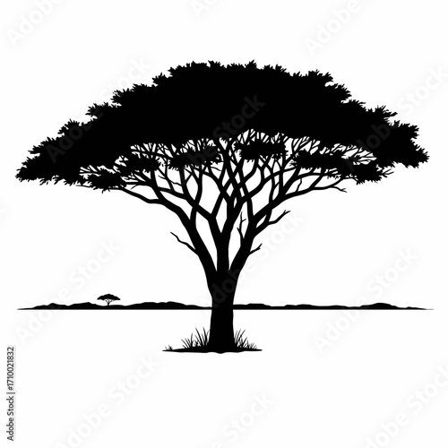 Iconic silhouette of a spreading acacia tree against a horizon in a stylized african landscape