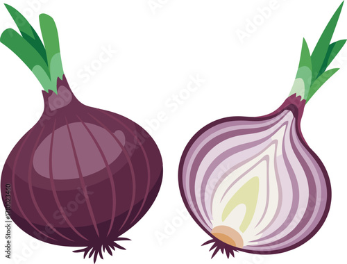 Fresh red onion whole and halved for culinary use vector