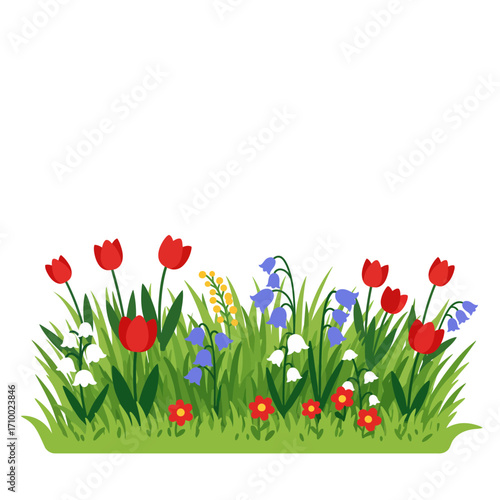 Vibrant spring meadow with red tulips bluebells and white flowers blooming in lush green grass