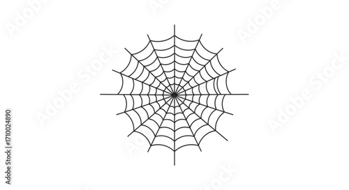 Spider web illustration for halloween or spooky concepts, simple and clean design