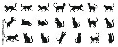 Cat silhouette vector collection, black feline animal poses for pet design, illustration, decoration, artwork.