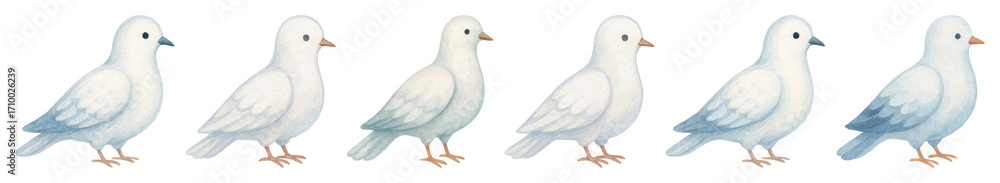 Fototapeta premium PNG Six white doves in sequence, element set on transparent background