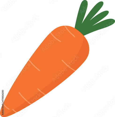 Vibrant orange carrot with green top isolated vector