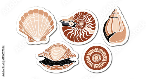 Illustration Set Vector Collection of Seashells with Brown Accents in a Modern Style Nautical Vector Elements