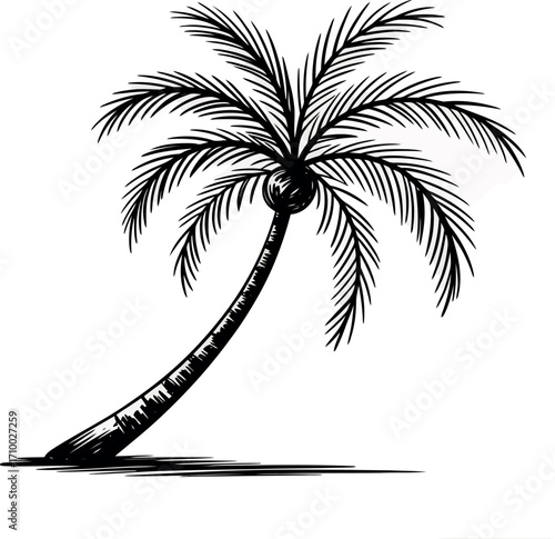 Vintage palm tree illustration tropical island paradise sketch vector