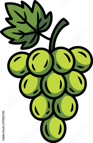 Fresh green grapes bunch fruit harvest healthy food illustration vector