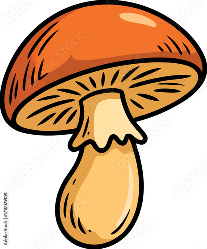 Vibrant orange mushroom illustration isolated cute forest fungus vector