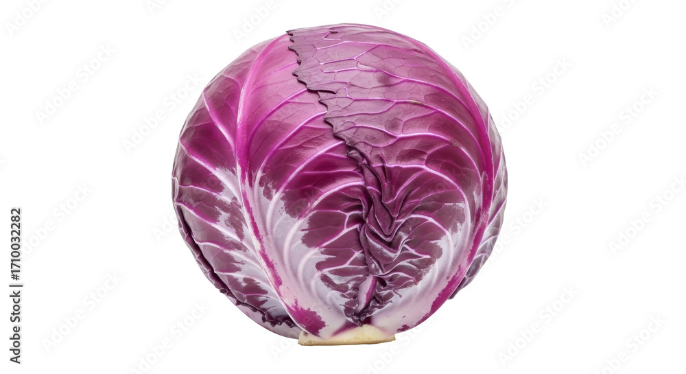 Obraz premium Isolated purple cabbage on a neutral background, vibrant healthy eating, colorful food