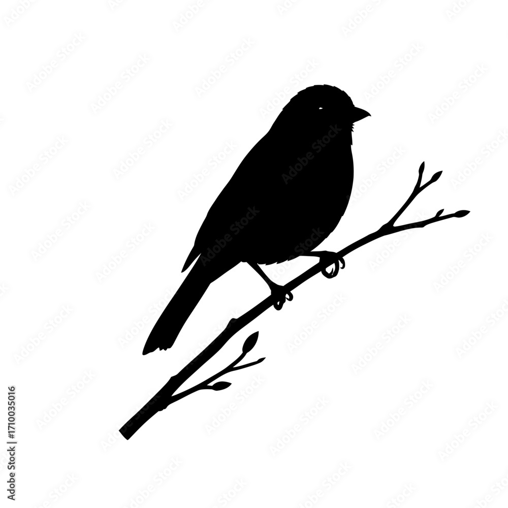 Obraz premium Silhouette of a small bird perched on a bare branch against a clean white background