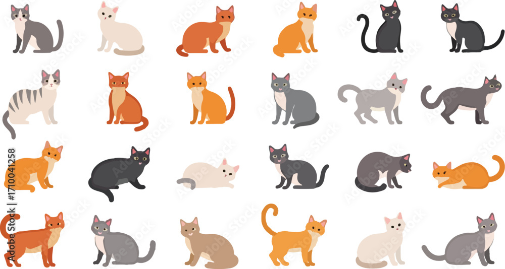 Fototapeta premium A set of 24 different looking cat and their position