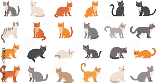 A set of 24 different looking cat and their position