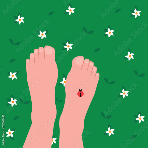 Woman legs on green grass with  flowers. woman walk barefoot on fresh green grass Vector  illustration