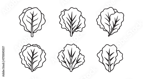 Six stylized leafy greens in a simple black and white silhouette