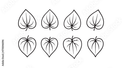 Collection of eight stylized heart shaped leaf silhouettes with vein detail