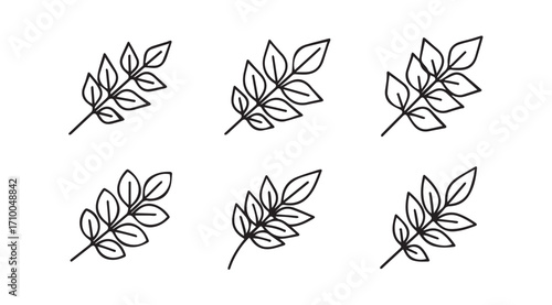 Six delicate hand drawn leafy branch silhouettes in a simple line art style