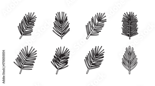 Collection of detailed black and white fern leaf silhouettes