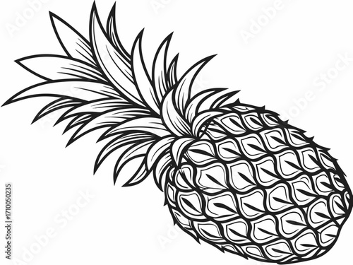 Intricate black-and-white pineapple line drawing with diamond-patterned rind and layered spiky leaves rendered in fine sharp lines.