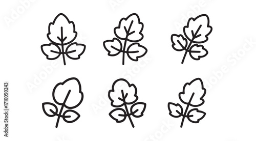 Six stylized outline illustrations of tomato plant leaves silhouette