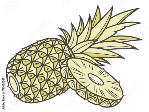 Geometric pineapple illustration showing textured skin, leafy crown, and a sliced cross-section emphasizing pattern and form.
