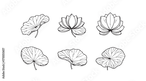 Collection of delicate lotus flower and leaf illustrations in silhouette style
