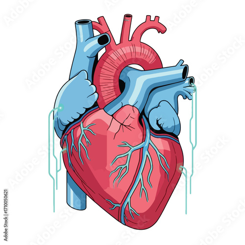 A stylized illustration of a human heart with blue arteries and veins, connected by futuristic wires.