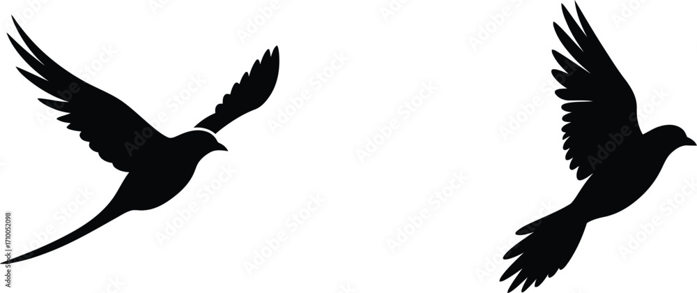 Obraz premium Two birds in flight silhouetted against a plain white background
